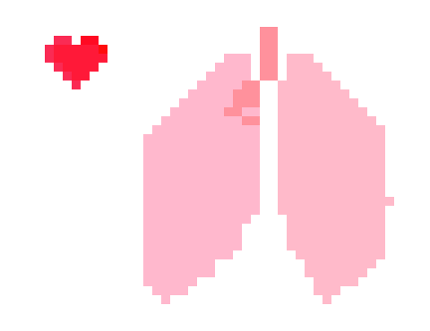 [106076] elaines lungs