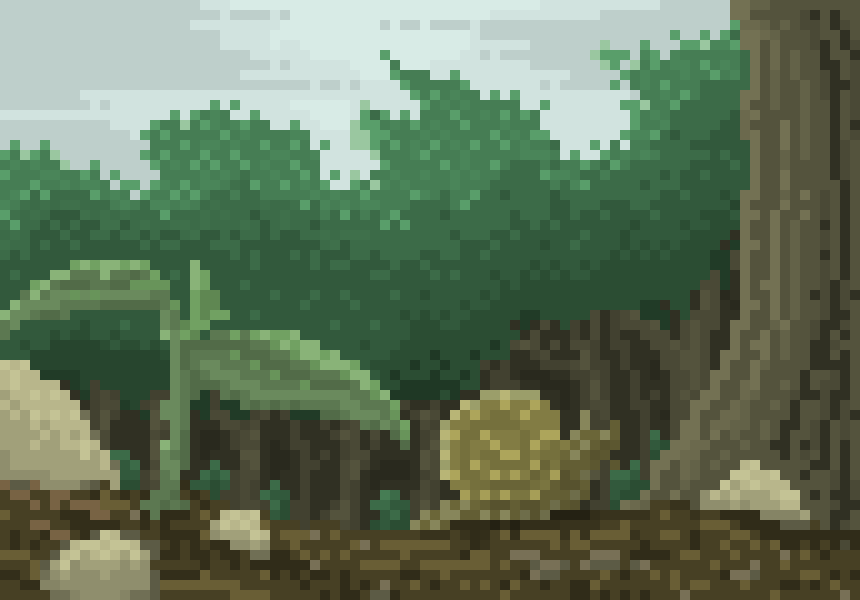[ce9678] Snail after rain