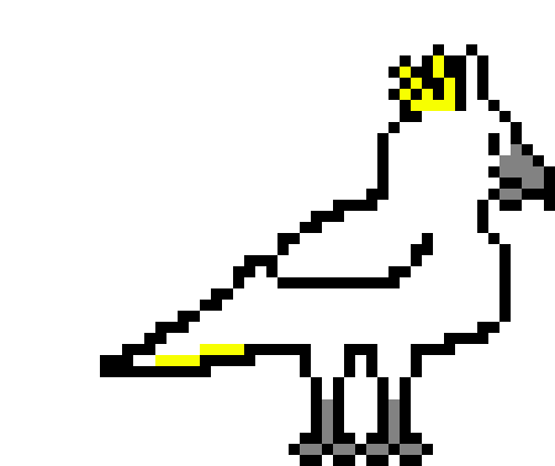 [478864] cockatoo