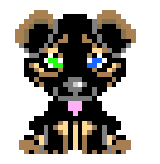 [9664c4] dog