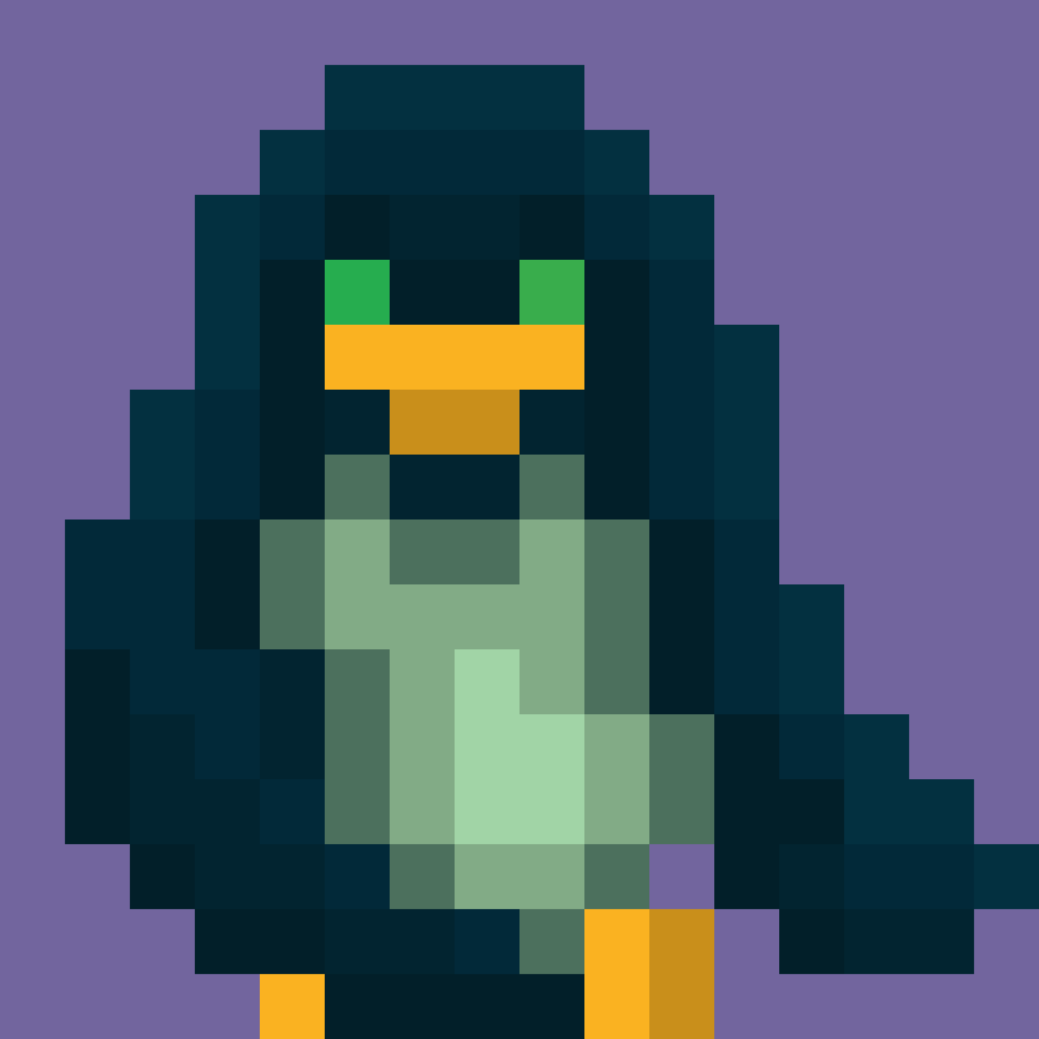 [c43892] cloaked penguin: no background