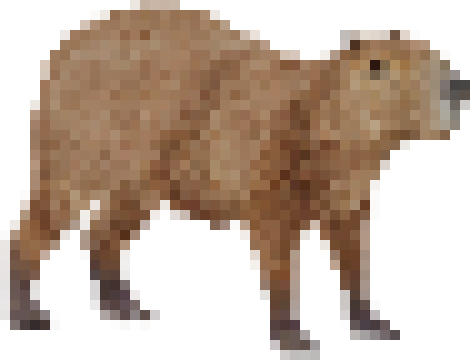 [ebb416] capybara