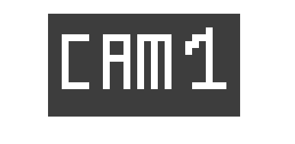 CAM 1 button