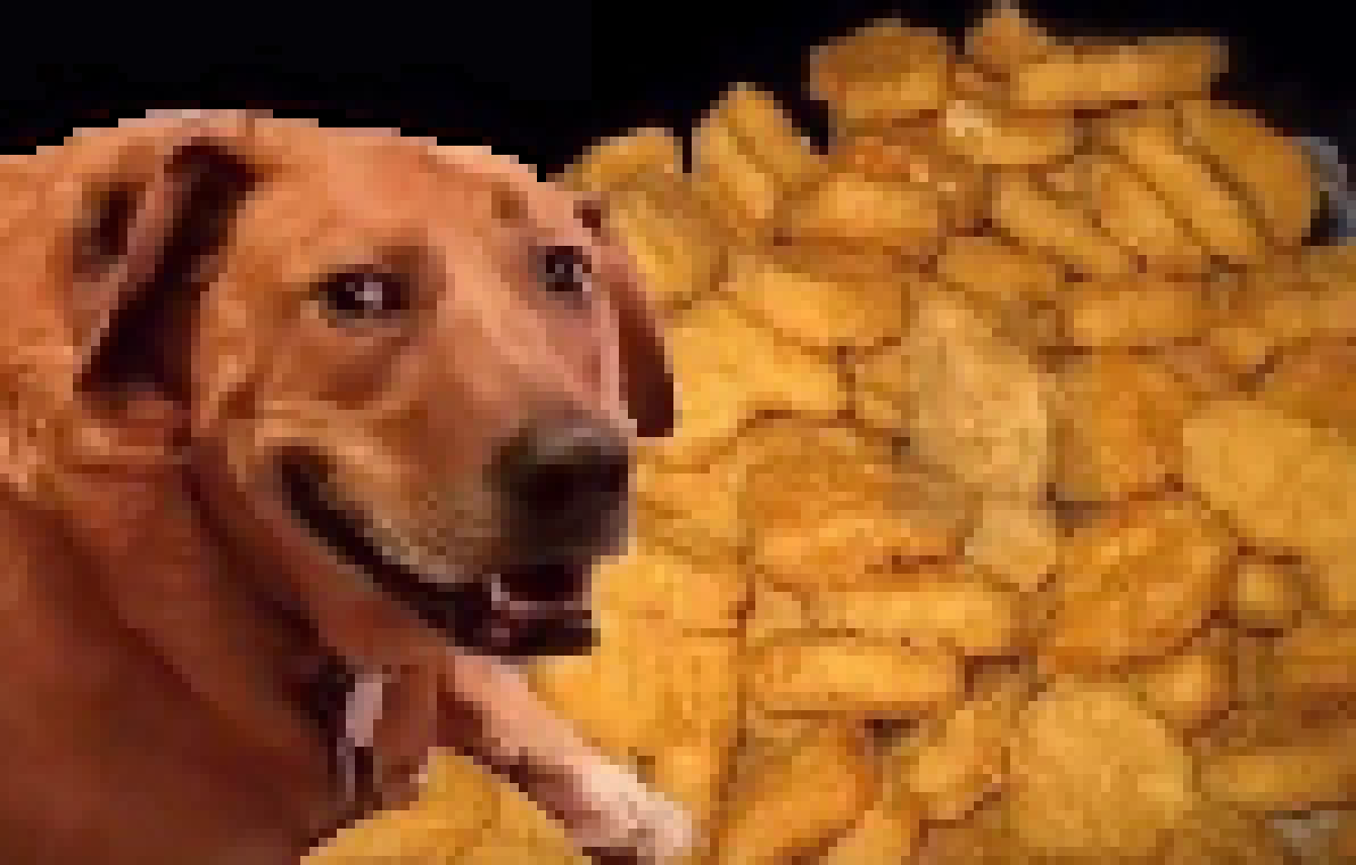 [46bd03] nuggets.