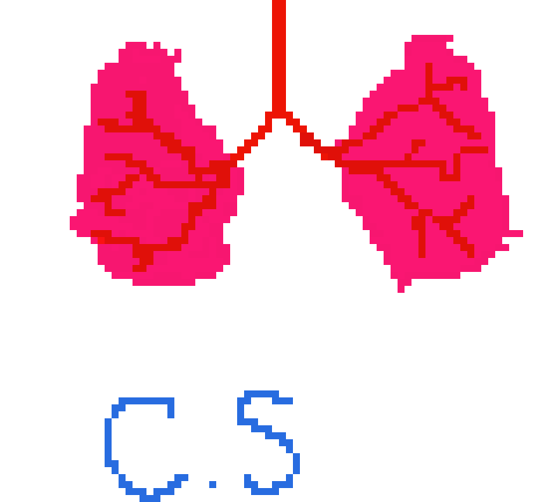 [2b4978] Pixel Lungs