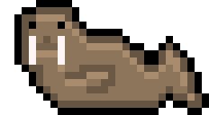 walrus