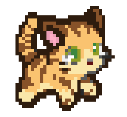 Cute Cat 