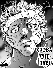 [5d400b] shiba 1
