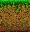 [9664c4] grass