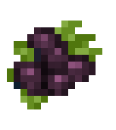 [e99152] black berry