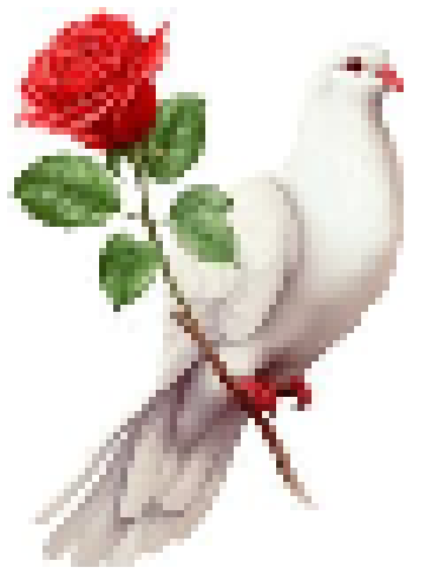 [e9f456] bird