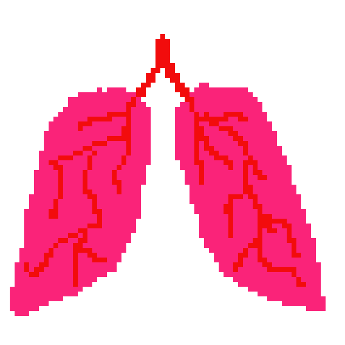 [2b4978] The Lungs