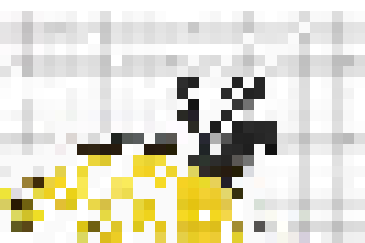 [2e180f] hdhd