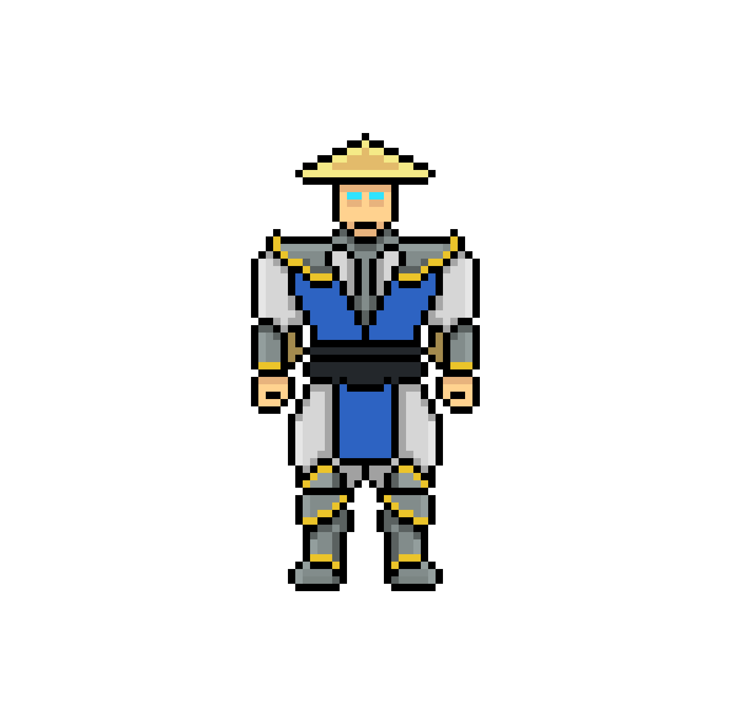 Raiden Bitch