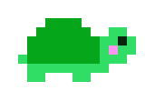 [599867] turtle
