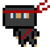 Ninja