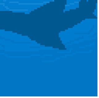 [fd4684] sharks.