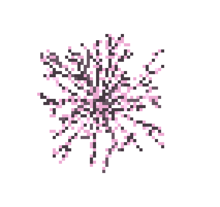 [59cbb9] Cherry Blossom 1