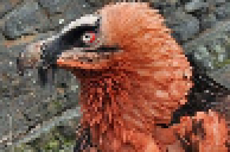 [20d68e] You know, you said you wanted to test the limits of jogns powers, so maybe you were going to create something to simulator people and their fighting so you could fight them without risk