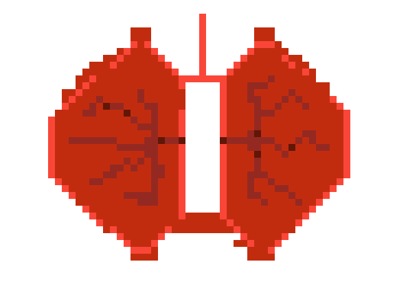 [a55bf6] Fung Fung's Lungs (pixel art)