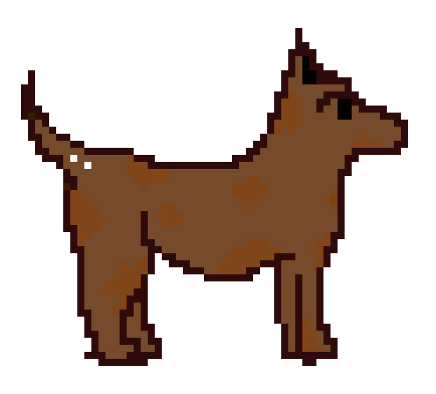 [9664c4] DOGGGGY