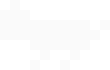 [9664c4] cat2