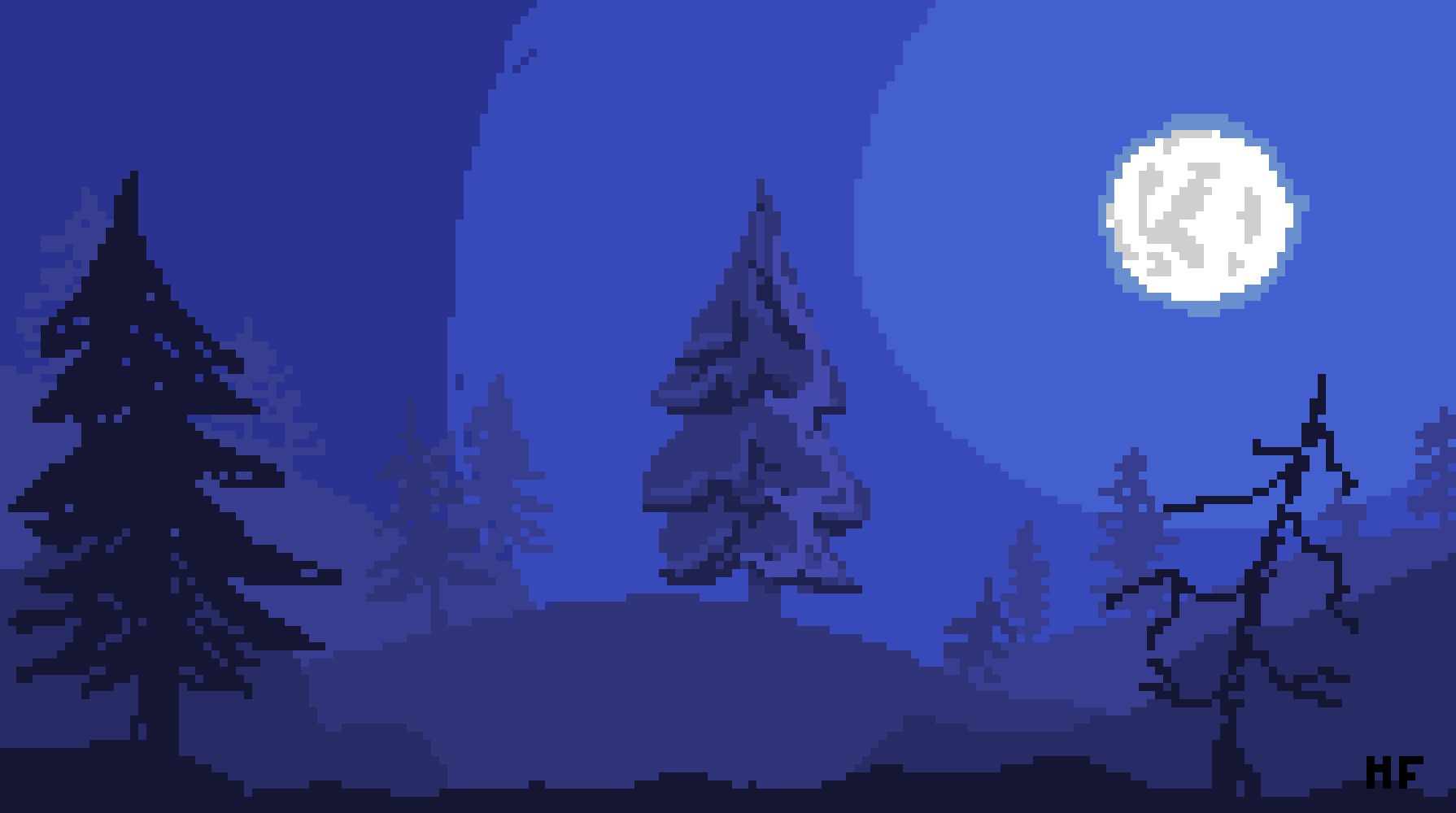 Nighttime in the Forest
