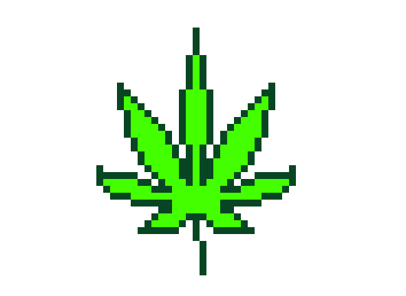 [93075f] Smoke weed everyday