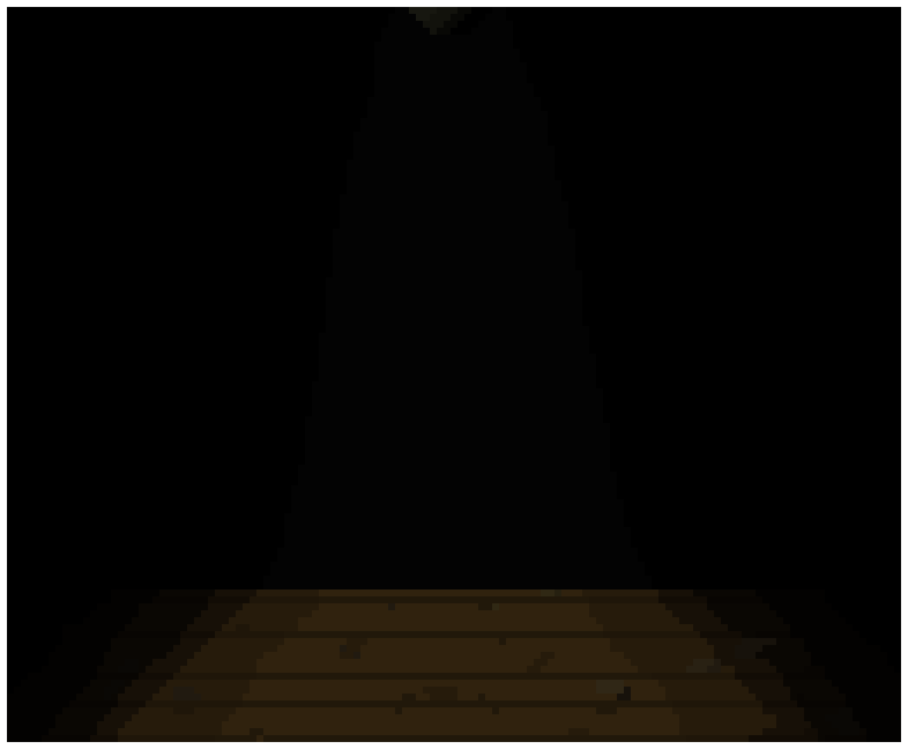 savage room