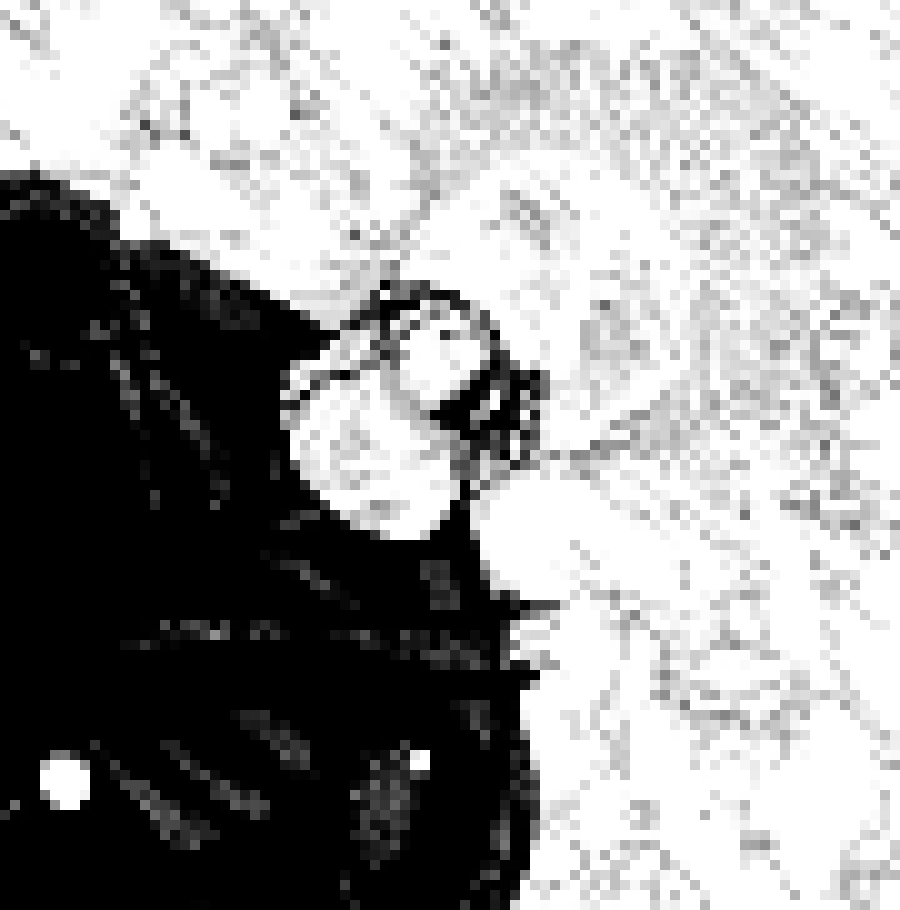 [006d2b] killing myself in front of you to traumatize you for decades on end