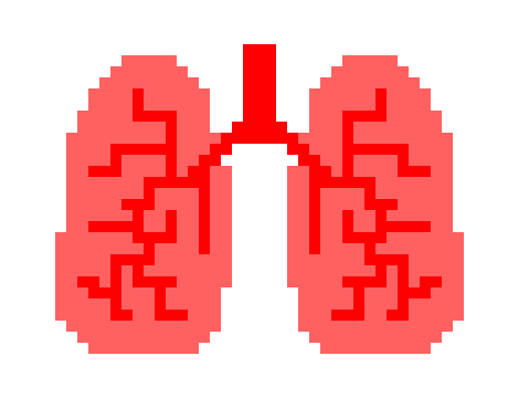 [2b4978] Lungs shuxing