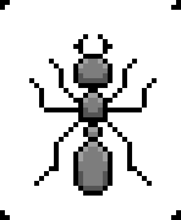 [ddcdae] Ant (Walk 1)