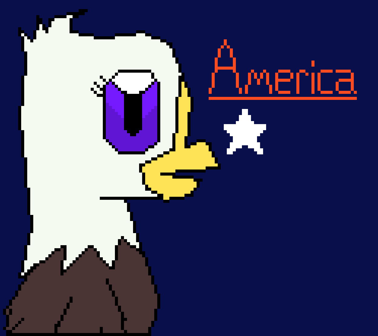 [9664c4] AMERICA IS LOVE AMERICA IS LIFE