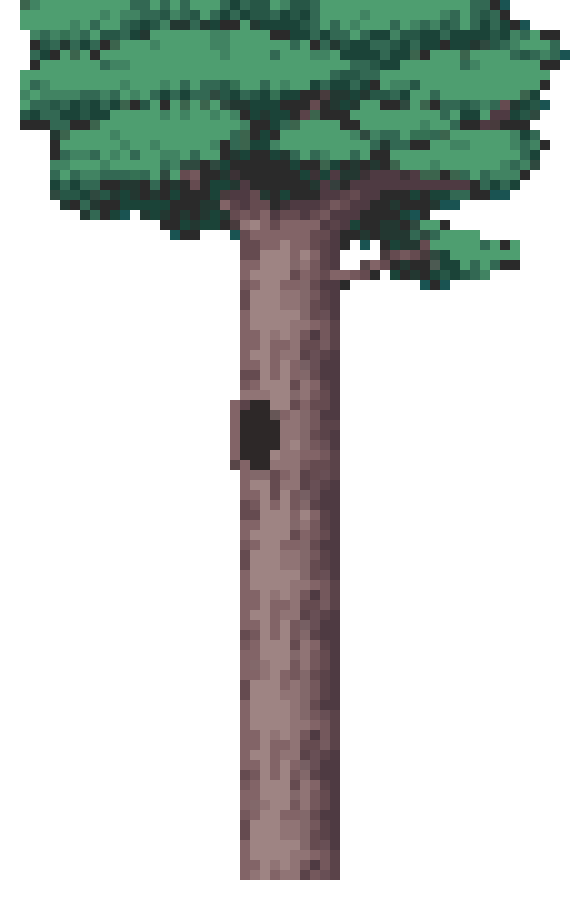 [759573] Tree 21