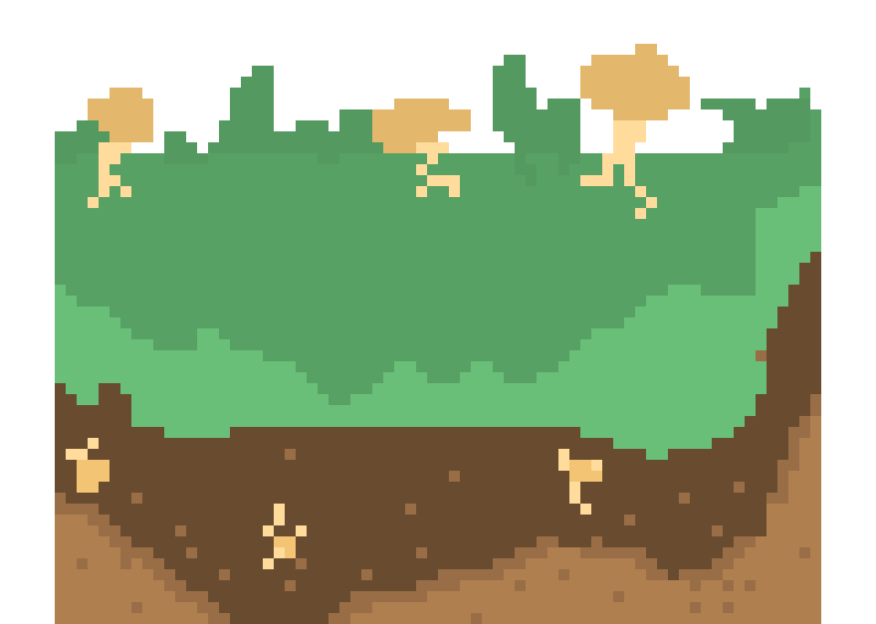 [15466d] Mushroom land