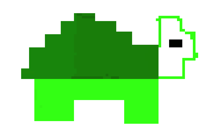 [854455] Turtle