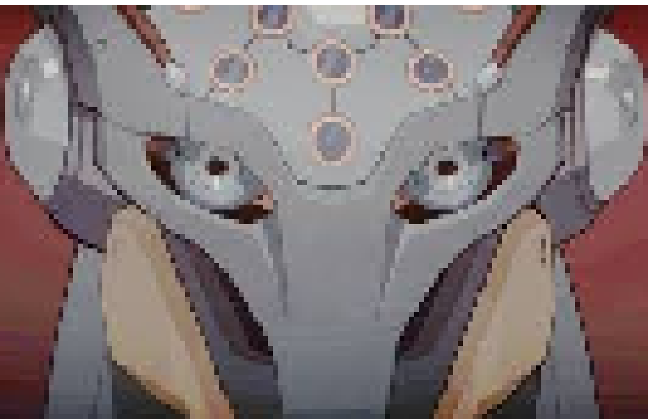 [8c660b] orb hate will not be tolerated