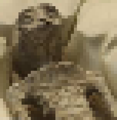 [55835a]   
