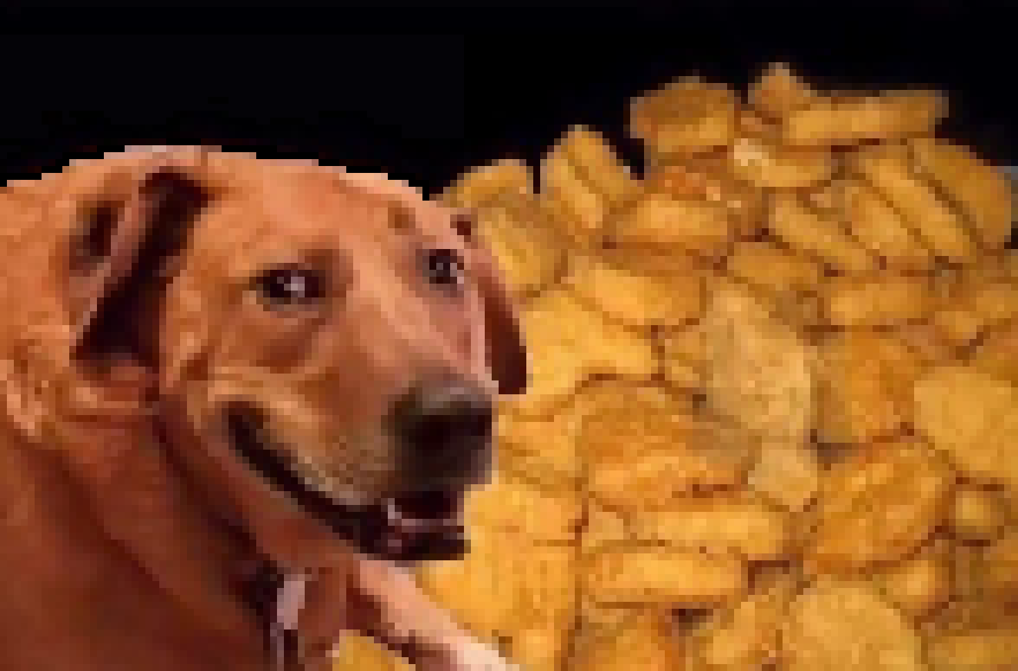 [46bd03] (nuggets.)
