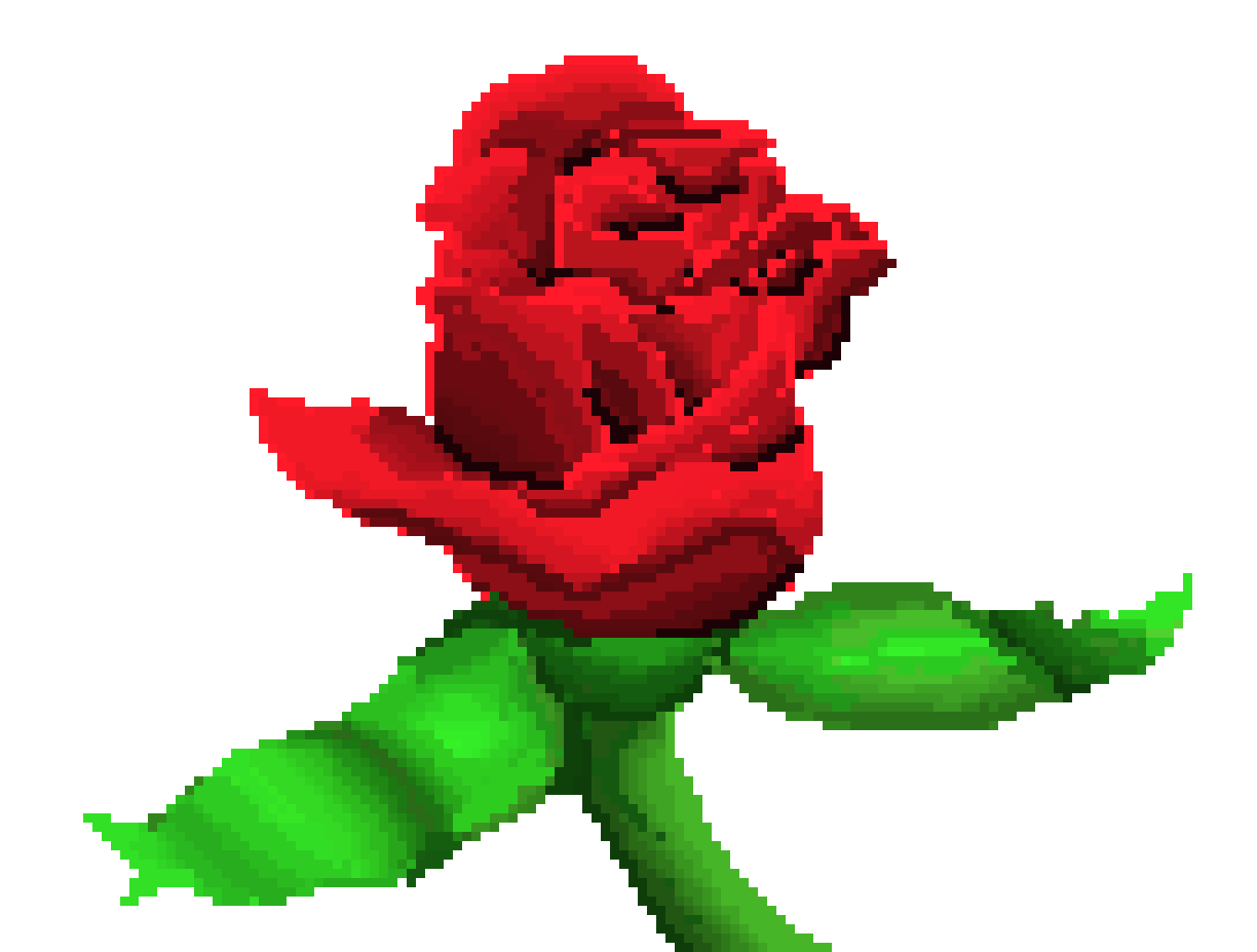 rose