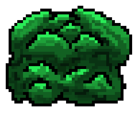 Bush