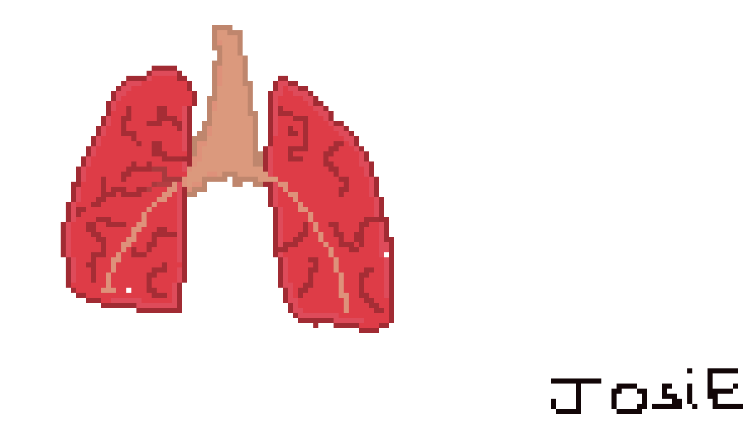 [2b4978] Lungs by Josie