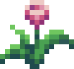 [bbafc9] RoseFlower1