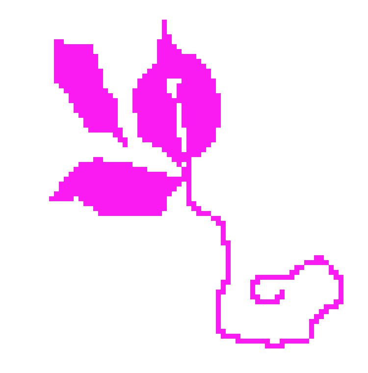 [e0a54c] lily
