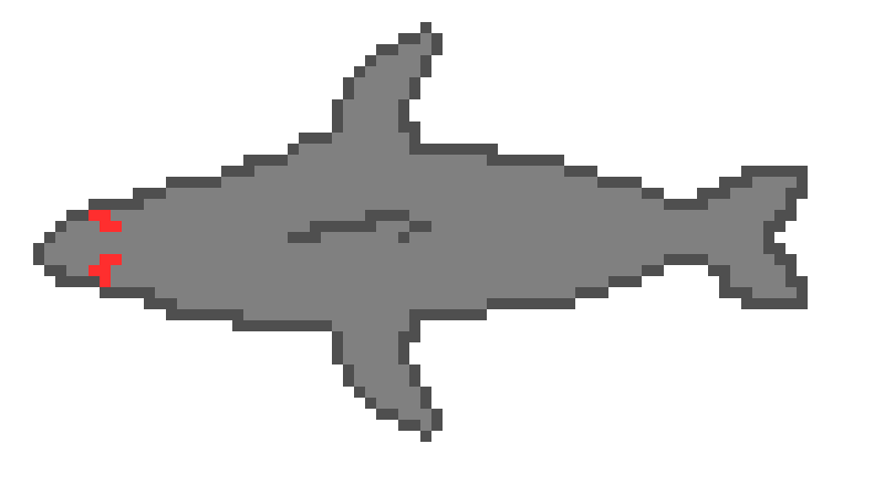 [9f5409] Shark