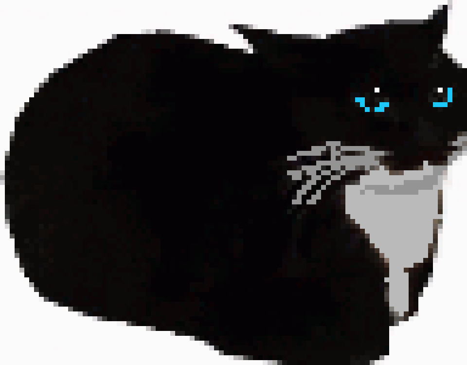 [c4b9c5] Maxwell the Cat