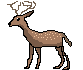 [b943de] Deer Male