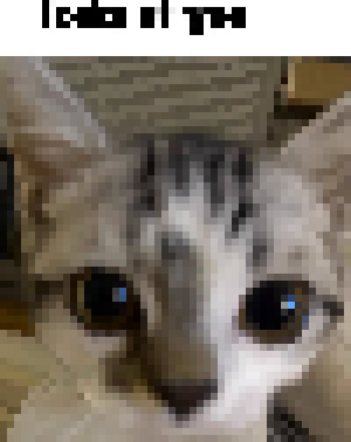 [65a21e] looks at you