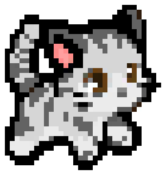 [288478] Cat