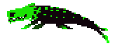 [830653] Slugcat (Transparent)